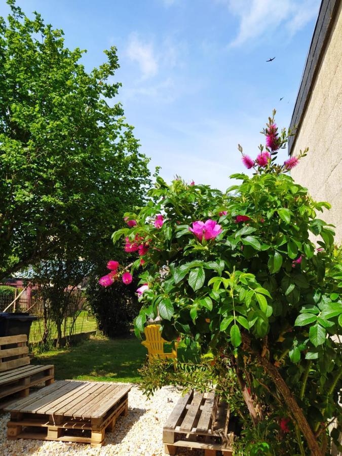 Maison Chic & Charme Calme Avec Jardin Le Mans Exteriér fotografie